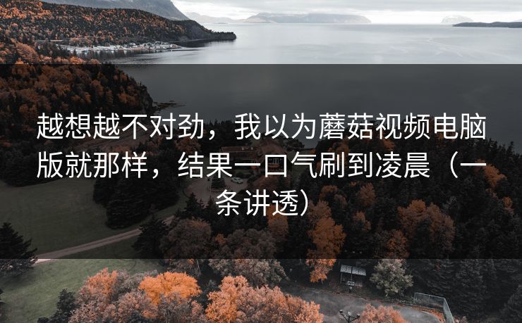 越想越不对劲，我以为蘑菇视频电脑版就那样，结果一口气刷到凌晨（一条讲透）