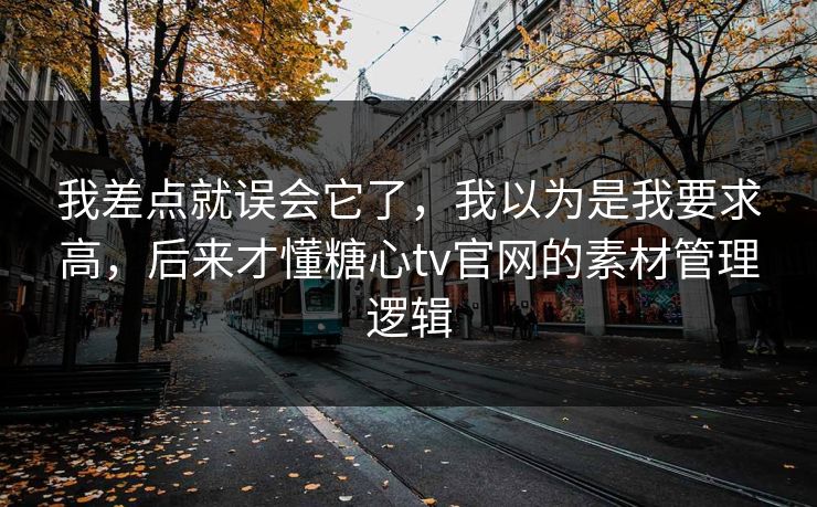 我差点就误会它了，我以为是我要求高，后来才懂糖心tv官网的素材管理逻辑  第1张