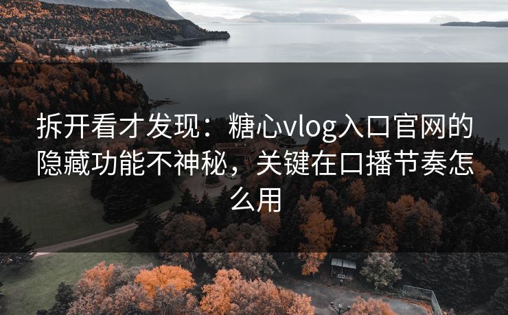 拆开看才发现:糖心vlog入口官网的隐藏功能不神秘,关键在口播节奏怎么用 第1张 拆开看才发现:糖心vlog入口官网的隐藏功能不神秘,关键在口播节奏怎么用 第1张
