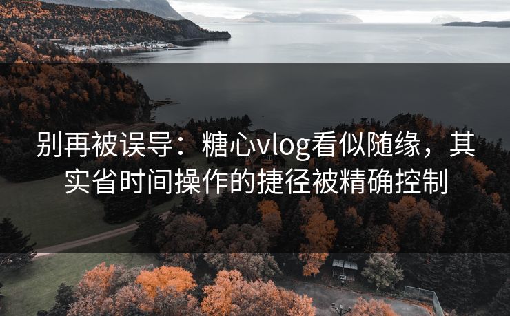 别再被误导:糖心vlog看似随缘,其实省时间操作的捷径被精确控制 第1张 别再被误导:糖心vlog看似随缘,其实省时间操作的捷径被精确控制 第1张