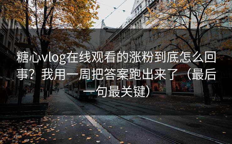 糖心vlog在线观看的涨粉到底怎么回事？我用一周把答案跑出来了（最后一句最关键）  第1张