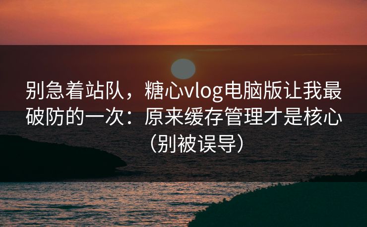 别急着站队，糖心vlog电脑版让我最破防的一次：原来缓存管理才是核心（别被误导）  第1张