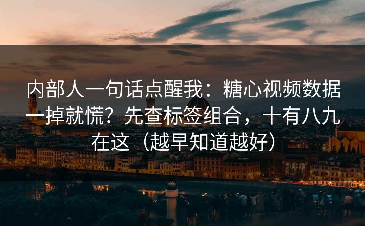 内部人一句话点醒我：糖心视频数据一掉就慌？先查标签组合，十有八九在这（越早知道越好）