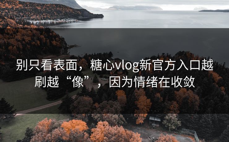 别只看表面，糖心vlog新官方入口越刷越“像”，因为情绪在收敛