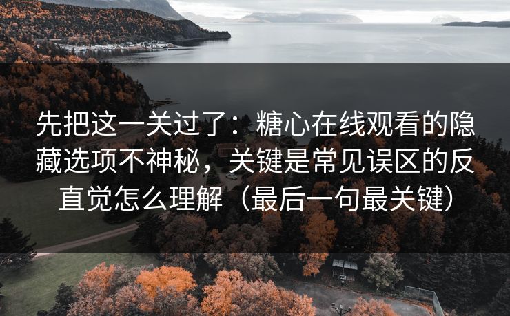 先把这一关过了：糖心在线观看的隐藏选项不神秘，关键是常见误区的反直觉怎么理解（最后一句最关键）