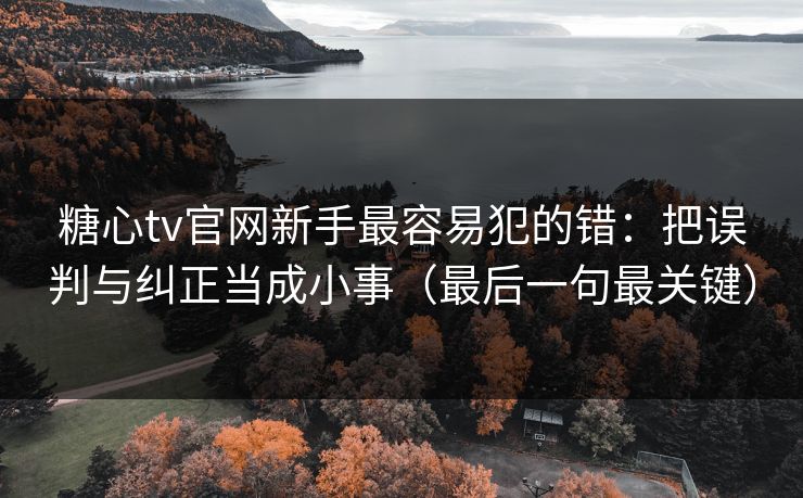 糖心tv官网新手最容易犯的错：把误判与纠正当成小事（最后一句最关键）